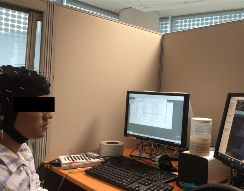 Brain research project