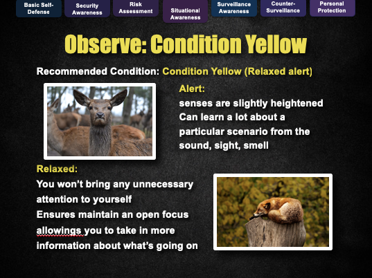 Screenshot 2019-02-02 at 8.41.13 PM.png